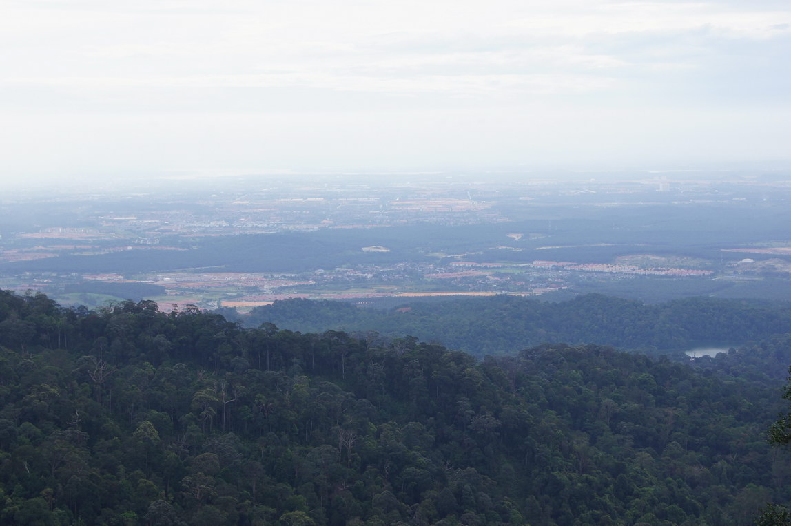 Gunung_Pulai_132.jpg