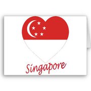 ND_singapore1.jpg