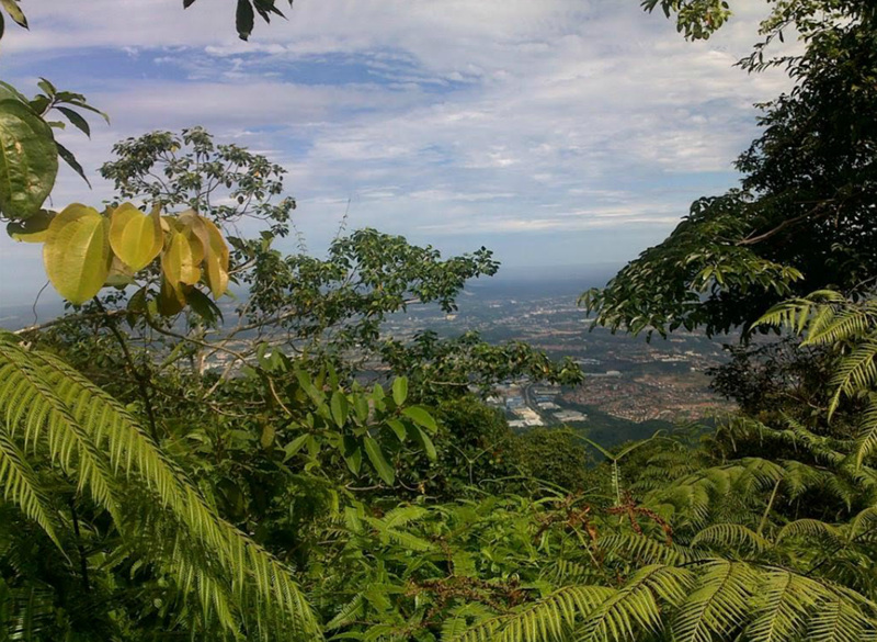 gunung_angsi_22.jpg