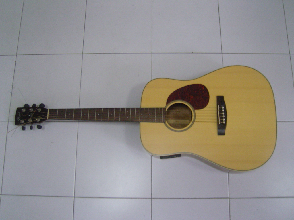 mkt_Acoustic_Guitar2001.JPG