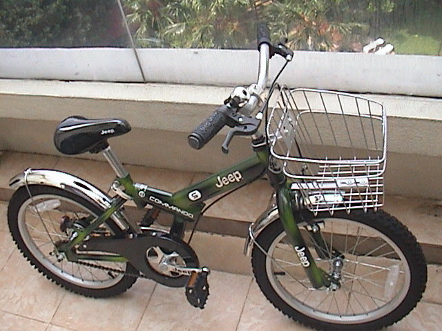 mkt_Jeep_Child_Bike1.JPG