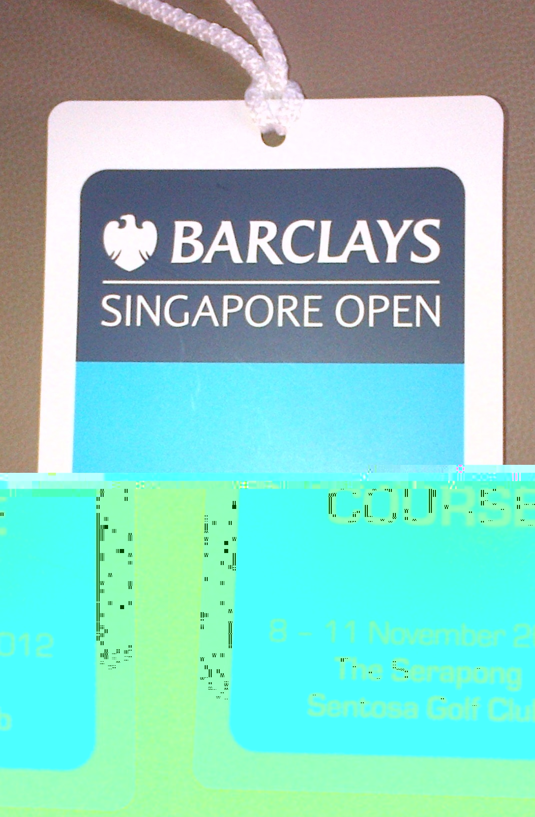 mkt_Singapore_Open_Ticket1.jpg