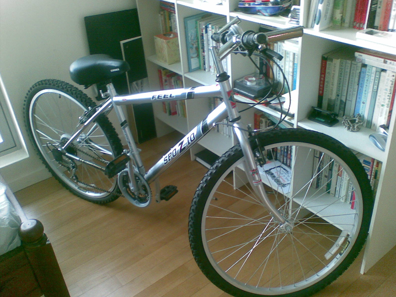 mkt_bicycle2001.jpg