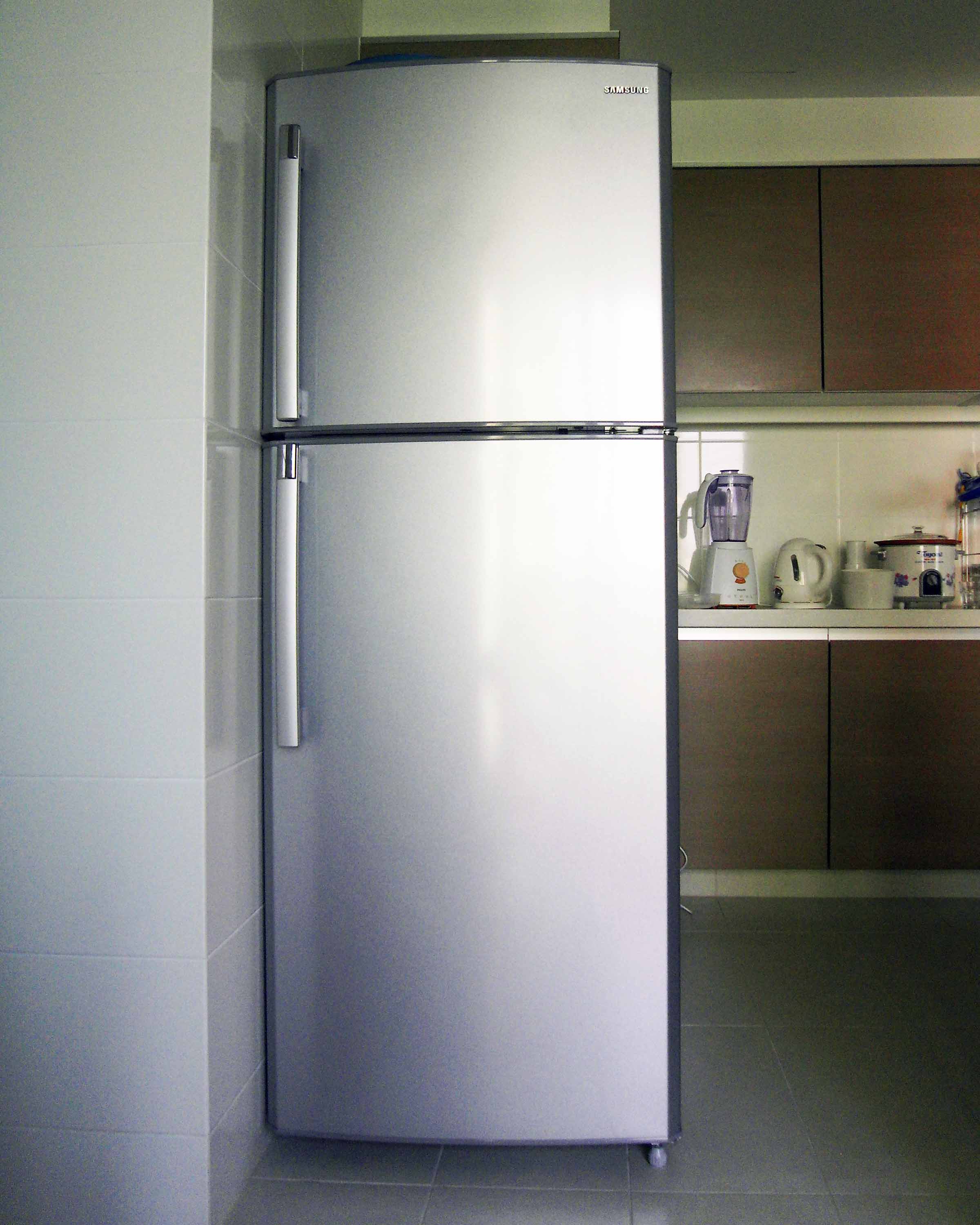 mkt_fridge2001.jpg