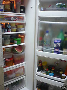 mkt_fridge_inside2001.jpg