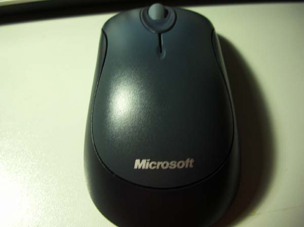 mouse1.jpg